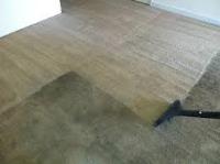 Carpet Cleaning Hobart image 4
